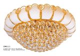 Chandelier Lighting OW611