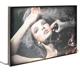 Portable Table Light Box