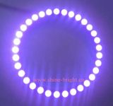 LED Angel Eye (Purple)