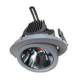 30W LED COB Down Light (TJ-XBL-3-30)