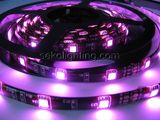 LED Flexible Waterproof Strip, LED Light Strip, SMD LED Strip Light