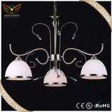 Dining Room Decoration Modern Chandelier Light (MD7635)