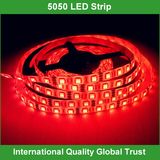 12V SMD 5050 Outdoor LED Strip Lights