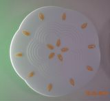 Wholesale Price 25W LED Ceiling Light