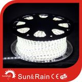 LED Light