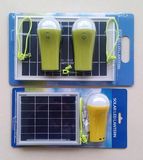 New Solar Light with 2 SMD LED Szyl-SLS-405