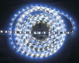 12V SMD 5050 Waterproof Christmas Flexible LED Strip Light (G)