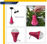 Solar Lamp/Solar Home Lights/Global Sunrise Lights