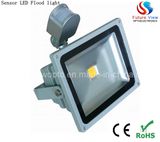 50W IP65 Outdoor LED Flood Light (FV-PIR-50W)