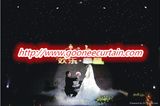 White LED Lamp Curtain Light for Wedding