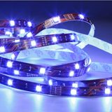 Outdoor 5050 SMD LED Flex Strip Light