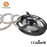 3528SMD Dual Row Super Bright LED Strip Light (240 LEDs/m)