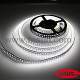 SMD 3528 5050 110/220V LED Strip Light