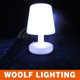 Hotel Decor Illuminated Bedside LED Table Lamp