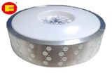 Latest LED Ceiling Light 16W