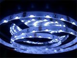 Christmas Lights Waterproof Outdoor Online Retail Store 5W/M 5050 LED Strips