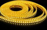 LED Strip Light/LED Flexible Strip (DD-3528SF120WW-WP)