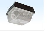 Ceiling Induction Light (Ve_Cl_8701)