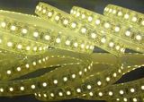 High Brightness LED Strip Light (DD-3528SF120B-WP)