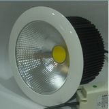 40W COB LED Down Light