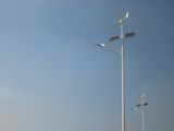 New Arrival Outdoor Used High Power COB LED Street Light