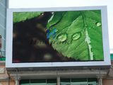 pH16 Outdoor Full Color LED Display