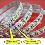 Dual White Bicolor 3528 SMD LED Strip Light