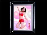 LED Indoor Super Slim Acrylic Crystal Light Box