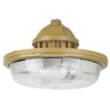 Ceiling Light, Ceiling Lamp, High Bay Light