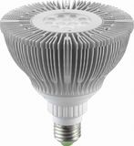 PAR38 LED Spotlight (WD-PAR38-12XPE)