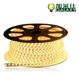 220V LED Strip Light