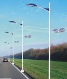 Wbr112 30W Single Lamp Solar LED Street Light