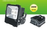 LED Flood Light