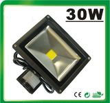 LED 30W RGB LED Flood Light LED Light