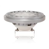 LED PAR36/AR111 Landscape Spotlight with IP67