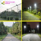 8W Solar LED Lighting, Solar Garden Light with Solar Panel