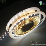 5050 120LED/Meter LED Strip Lights