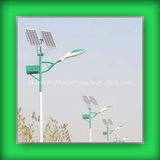 Convenient Solar LED Light (CH-TYN167)