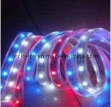 SMD LED Strip Light