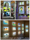 Indoor Wall Mounted LED Advertising Display Light Box