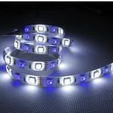 3528 5050 SMD Flexible LED Strip Light for Commerical Lighting CE RoHS