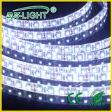 IP20 SMD 3528 120LEDs LED Flexible Strip Light of Warm White