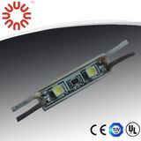 2LEDs/PC 12V Waterproof 3528 SMD LED Module