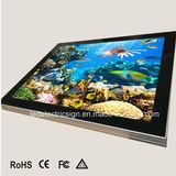 Aluminum LED Slim Light Box for Advertising