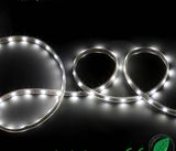 2 Years Warranty Nonwaterproof Flexible LED Strip Light