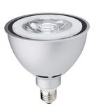 LED PAR38 22W with COB