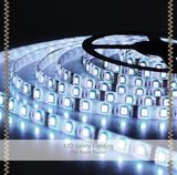 12V 24V 5050 Waterproof Strip Light Flexible LED Light