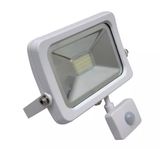 SAA CE 10W 30W 50W COB High Power Outdoor Spot LED Flood Light