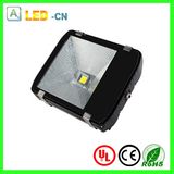 Floodlight 1*100W High Power LED Garden Light