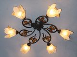 Chandelier/Ceiling Lamps (C7833-6)